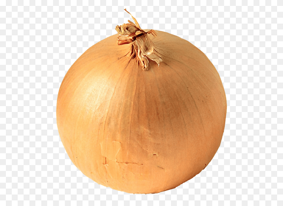 Onion, Food, Produce, Plant, Vegetable Free Png