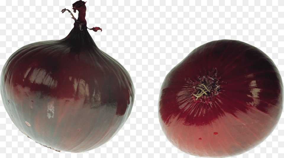 Onion, Food, Produce, Plant, Vegetable Free Png