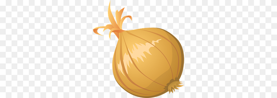 Onion Food, Produce, Plant, Vegetable Png Image