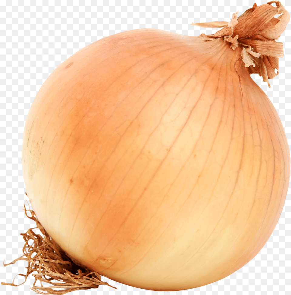 Onion, Food, Produce, Plant, Vegetable Free Png