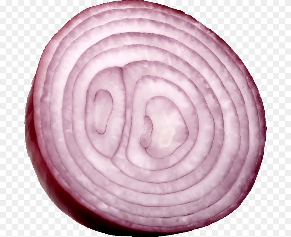 Onion, Food, Produce, Plant, Vegetable Png Image