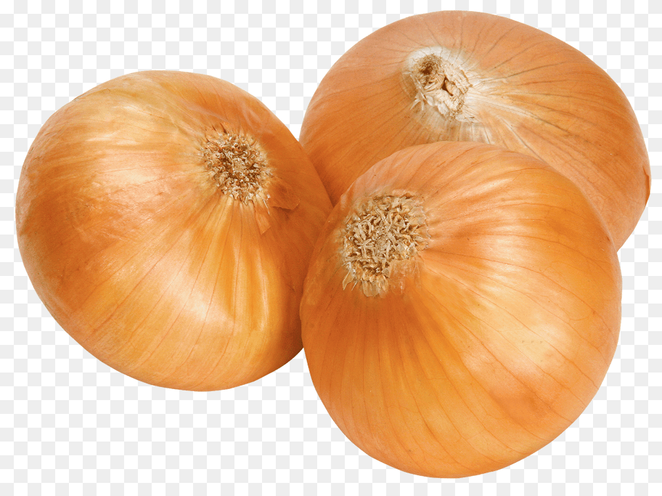 Onion, Food, Produce, Plant, Vegetable Free Png