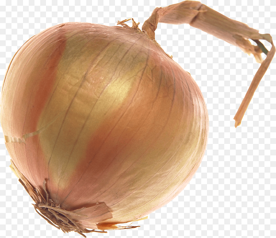 Onion, Food, Produce, Plant, Vegetable Free Transparent Png