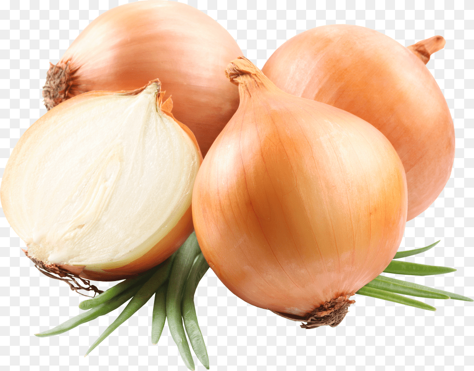 Onion, Bow, Logo, Weapon Png Image