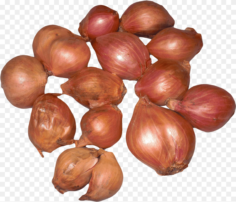 Onion, Food, Plant, Produce, Shallot Free Png Download
