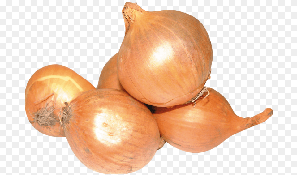 Onion, Food, Produce, Plant, Vegetable Png Image