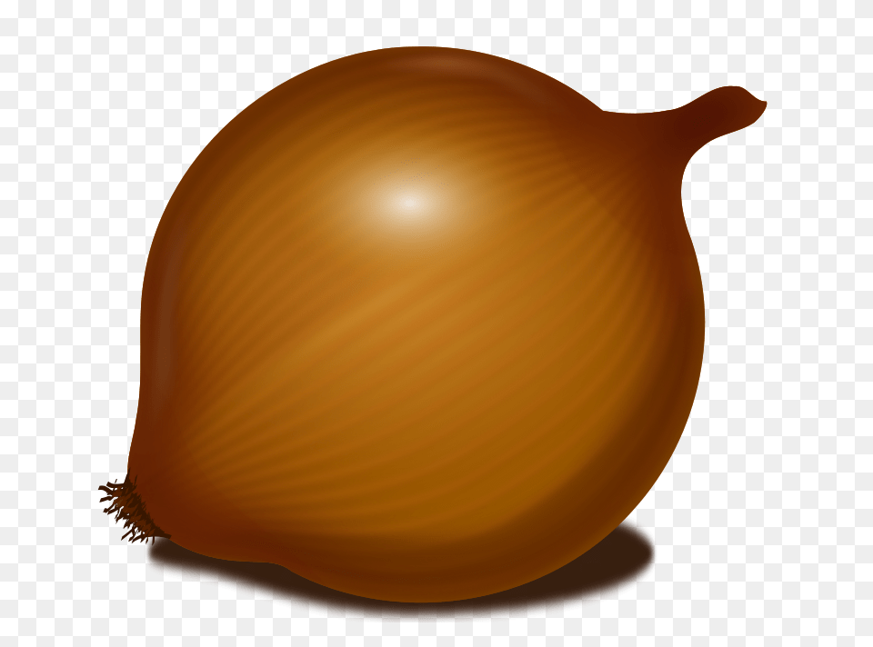 Onion, Food, Produce, Plant, Vegetable Png Image