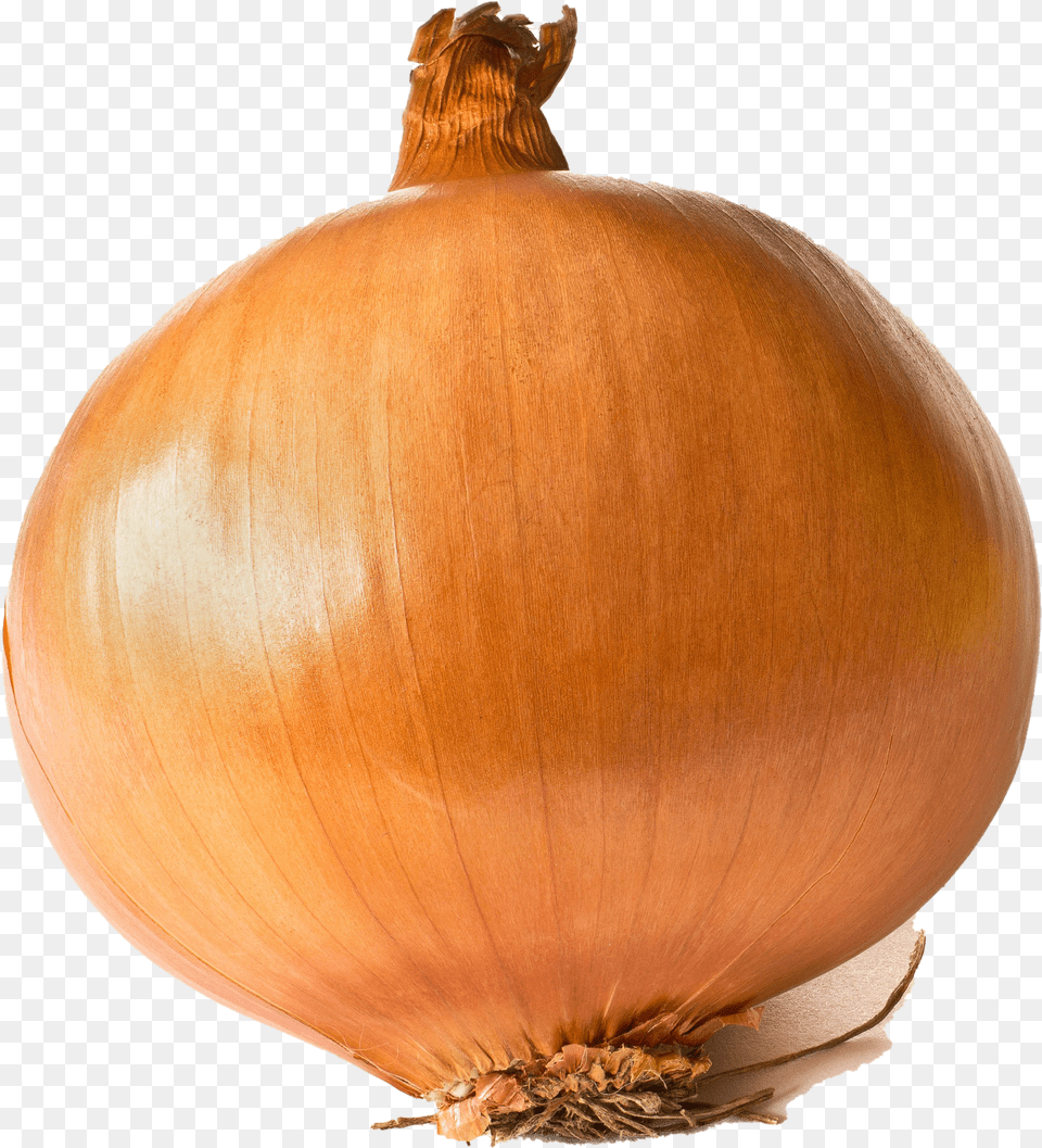 Onion Background Large Onion Free Png Download