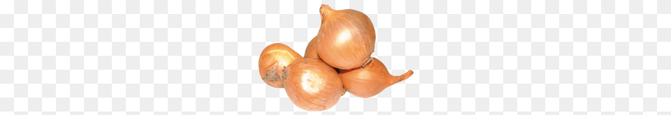 Onion Best Stock Photos, Food, Produce, Plant, Vegetable Free Transparent Png