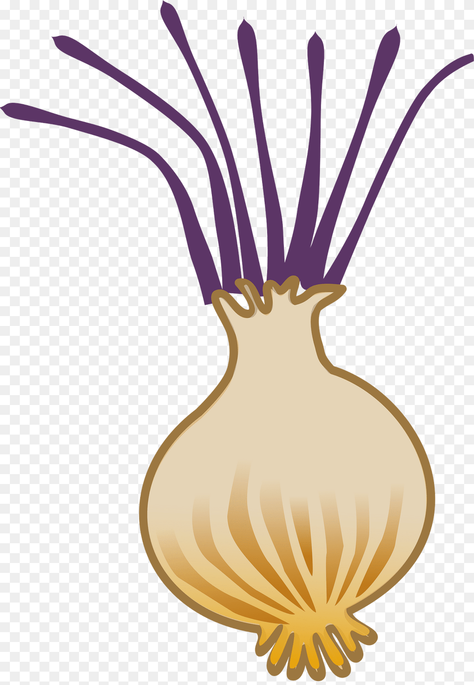 Onion Clipart, Food, Produce, Plant, Vegetable Free Transparent Png