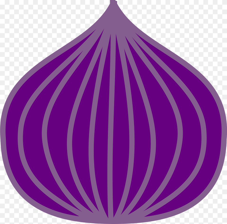 Onion Clipart, Flower, Petal, Plant, Purple Png Image