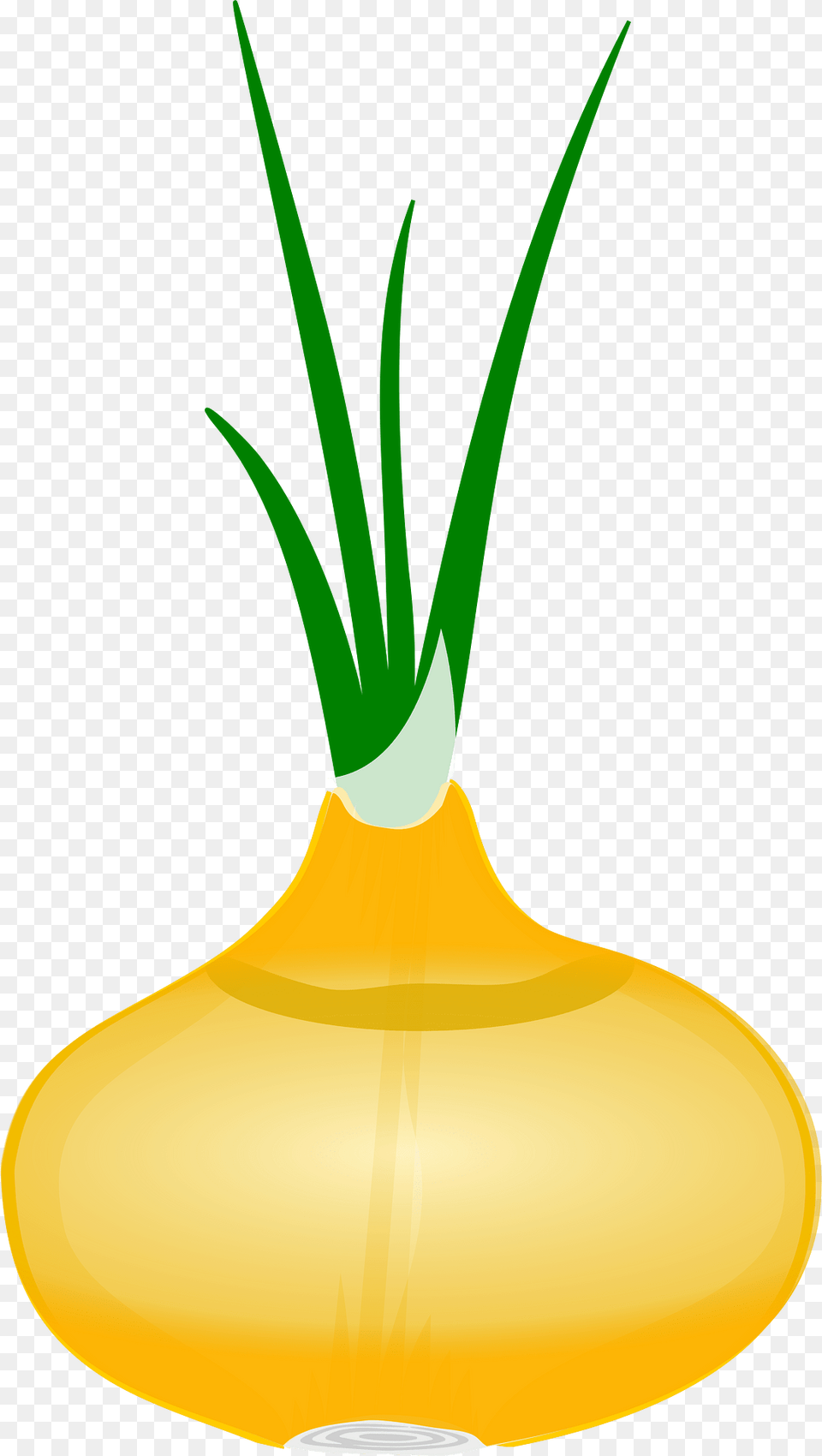 Onion Clipart, Food, Produce Free Transparent Png