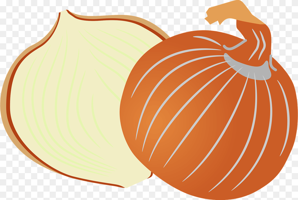 Onion Clipart, Food, Produce, Plant, Vegetable Free Png