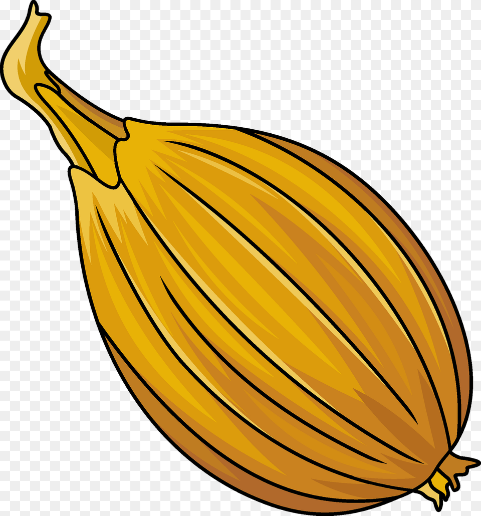 Onion Clipart, Lute, Musical Instrument, Food, Produce Png Image