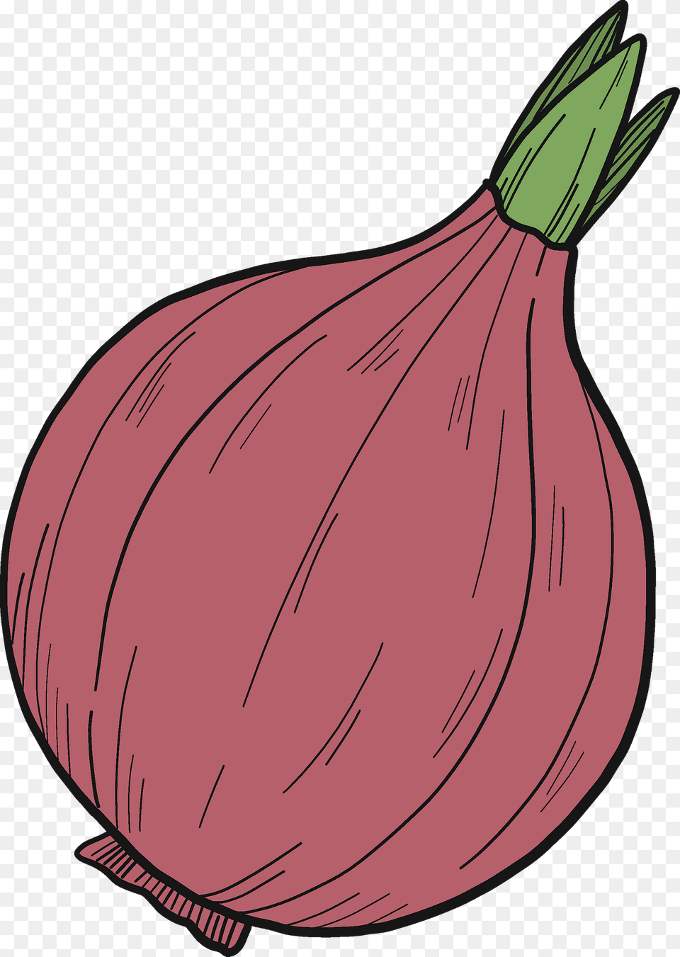 Onion Clipart, Produce, Food, Vegetable, Plant Free Transparent Png