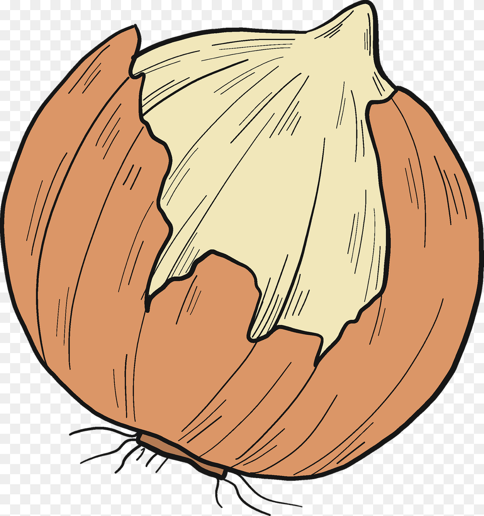 Onion Clipart, Food, Produce, Fruit, Plant Free Png