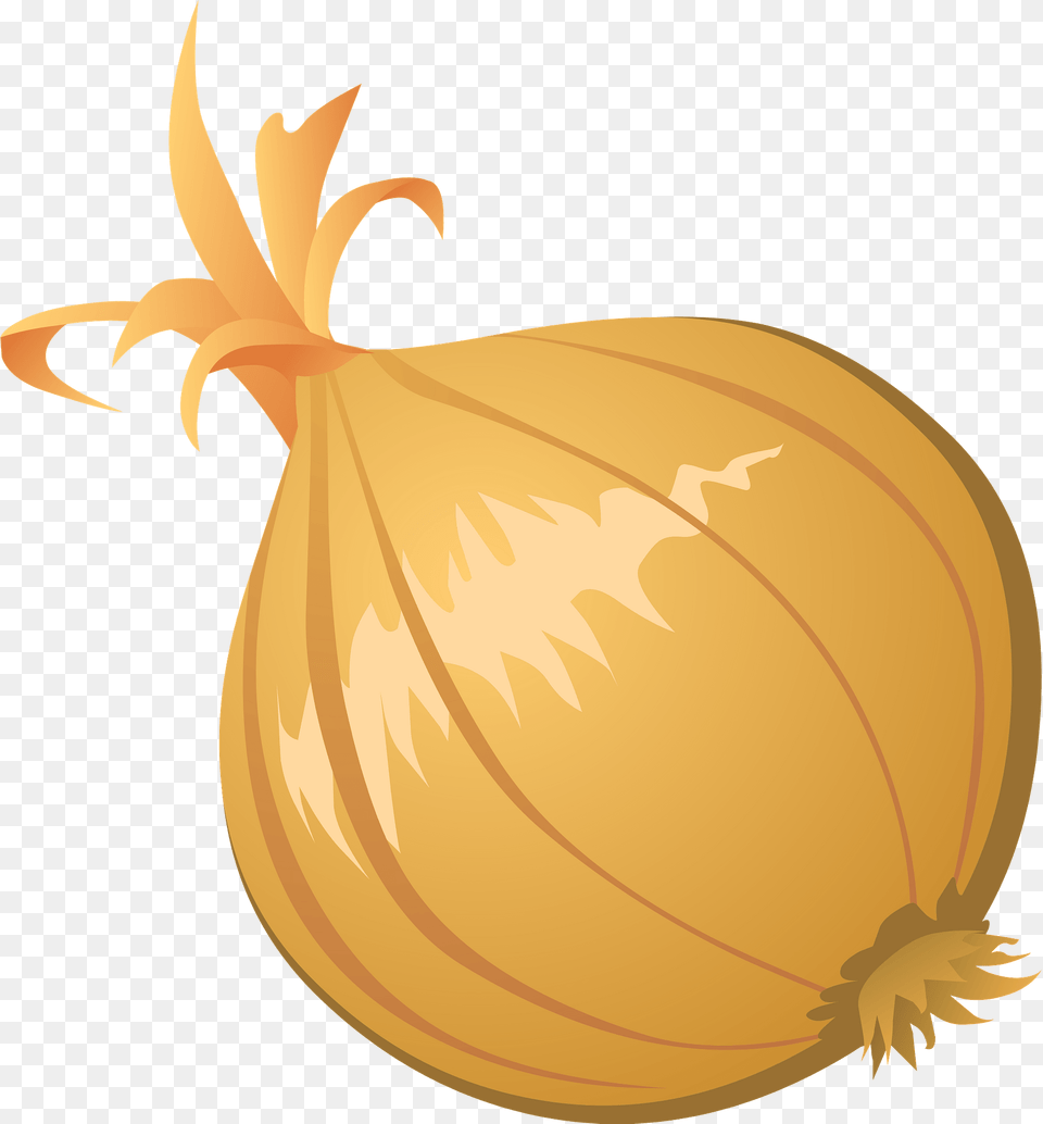 Onion Clipart, Food, Produce, Plant, Vegetable Png Image