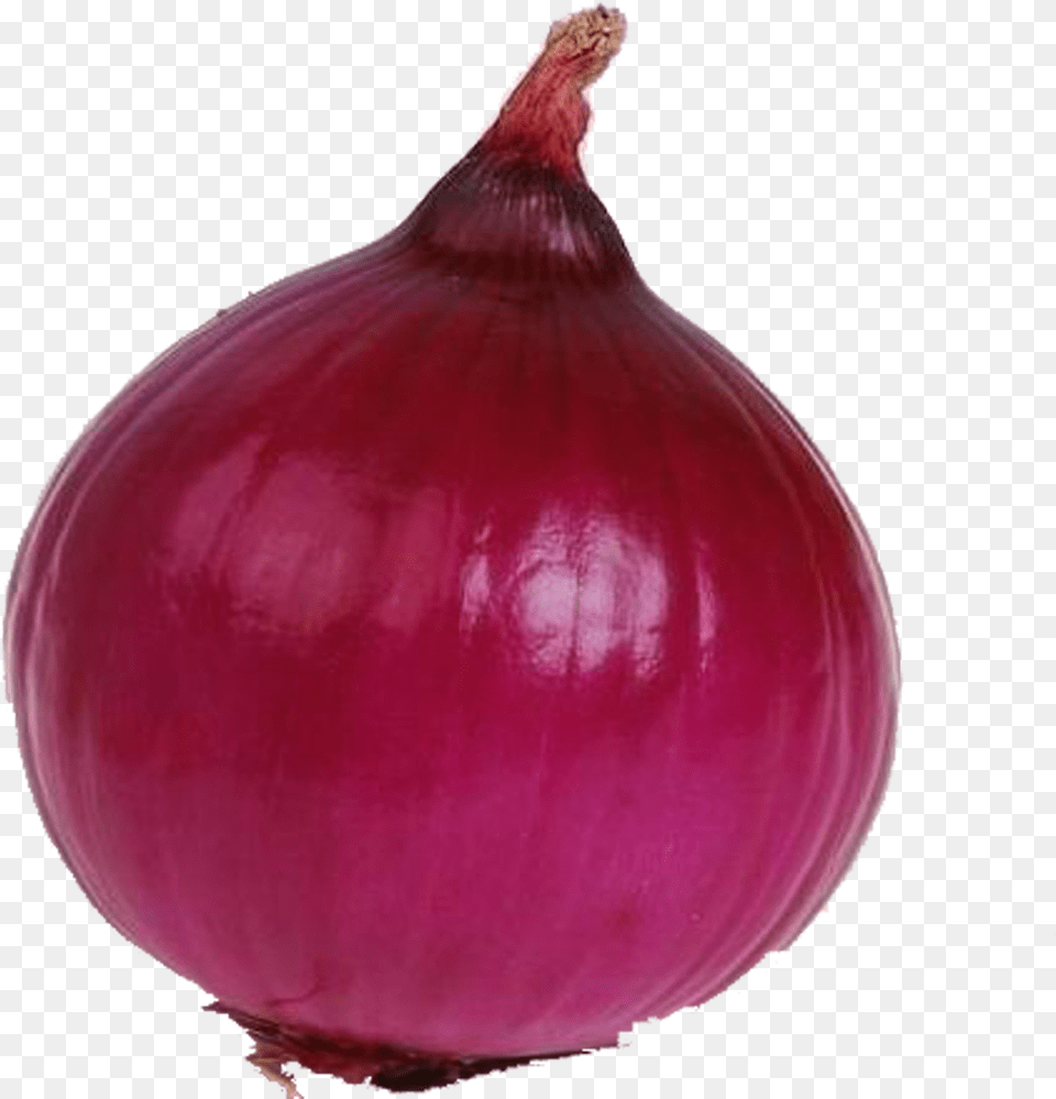 Onion Clipart, Food, Plant, Produce, Vegetable Png