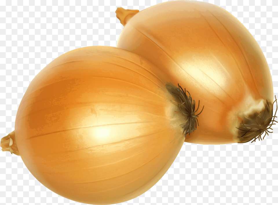Onion Clipart, Food, Produce, Vegetable, Plant Png