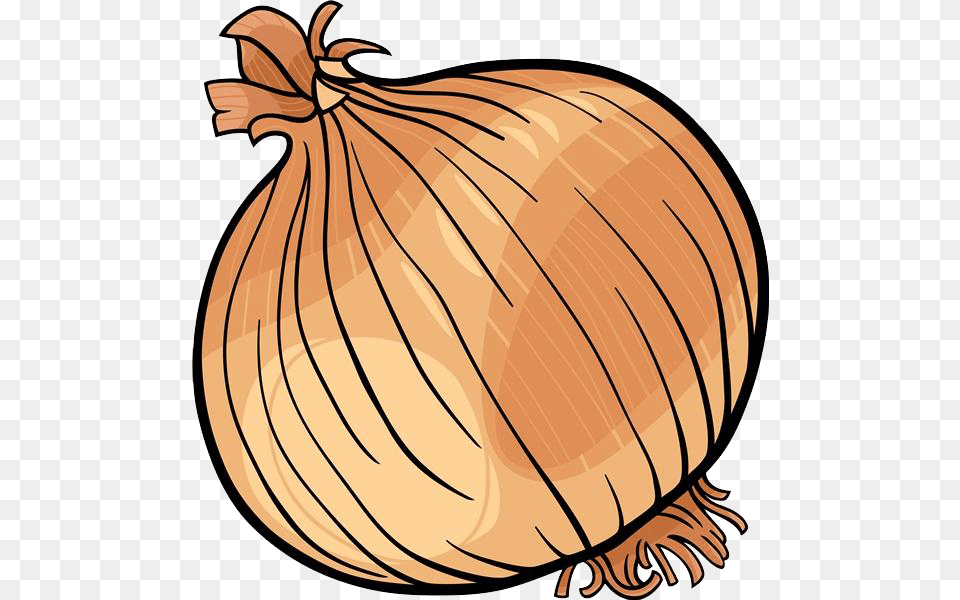 Onion Clipart Fruit Vegetable Onion Black And White, Food, Produce, Plant, Ammunition Png Image