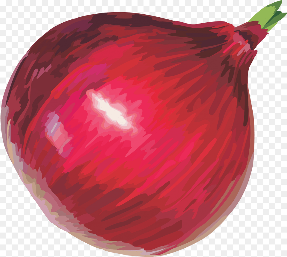 Onion Clipart Onion, Food, Produce, Vegetable, Plant Png Image