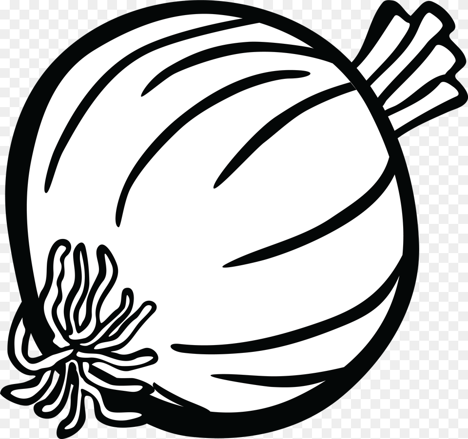 Onion Clipart Onion Black And White, Food, Produce, Plant, Vegetable Png Image