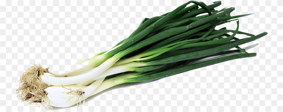Onion Clipart Onion Slice Green Onion, Food, Produce, Plant, Spring Onion Free Transparent Png