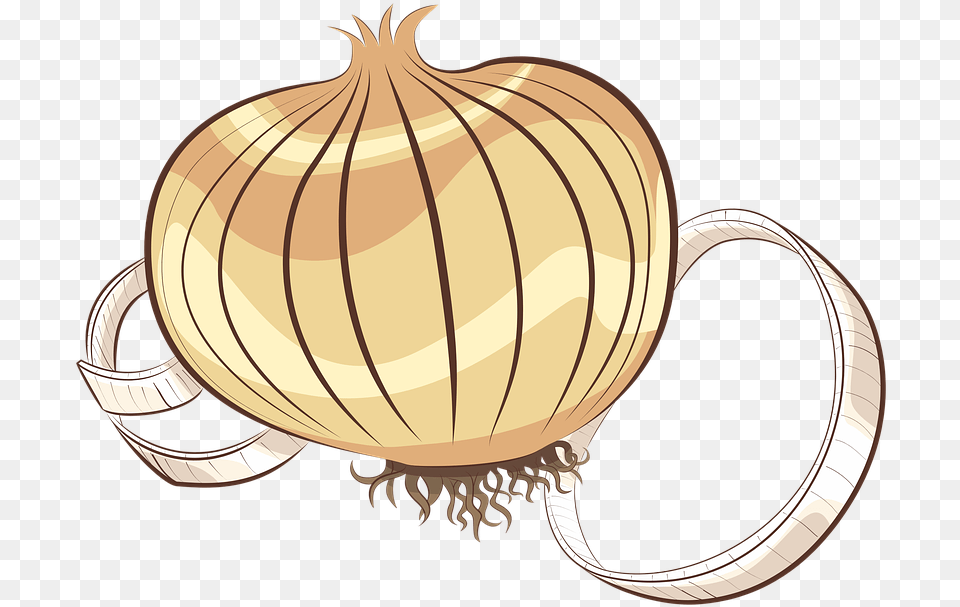 Onion Clipart Onion Vegetable, Food, Produce, Plant, Chandelier Png Image