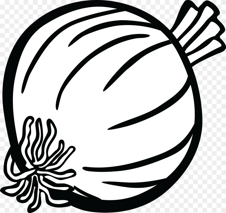 Onion Clipart Onoin Onion Black And White Clipart, Food, Produce, Plant, Vegetable Png