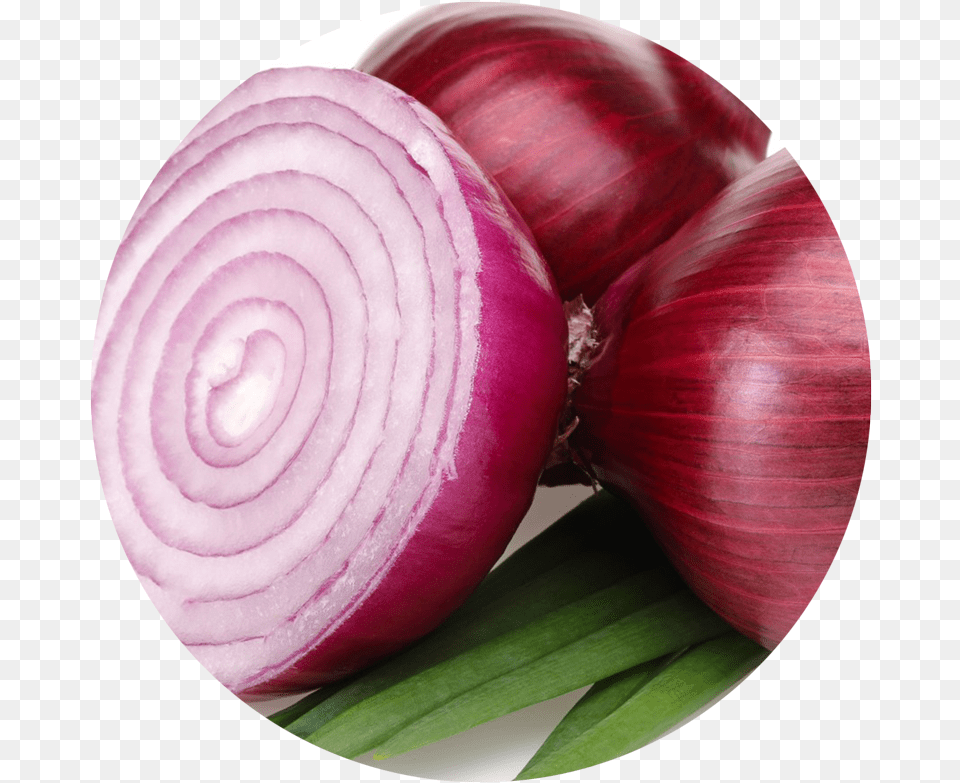 Onion Clipart Pungent Redonion, Food, Produce, Plant, Vegetable Png