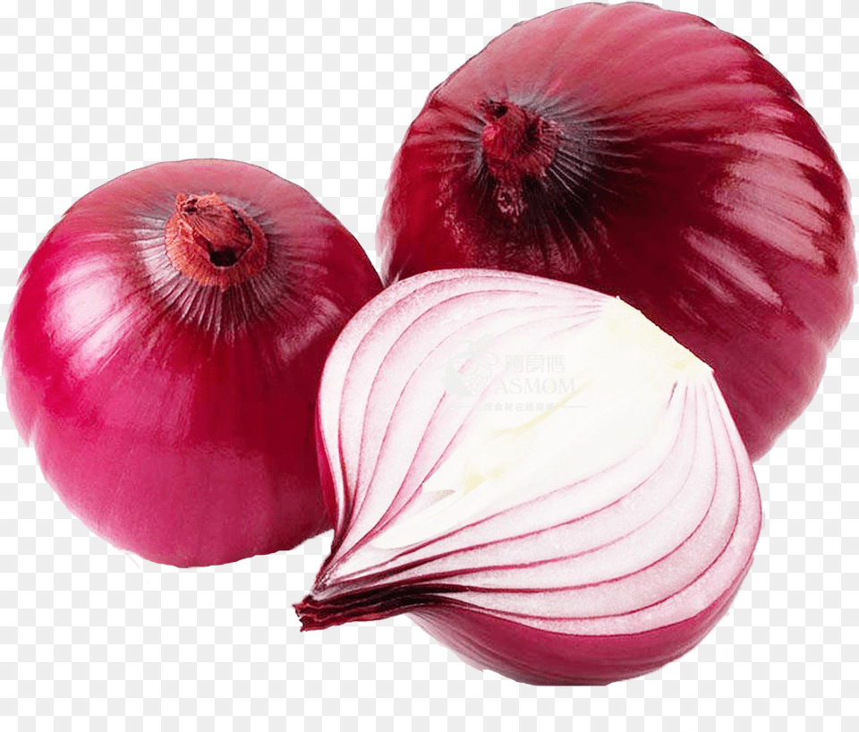 Onion Download Allium Cepa Linn, Food, Produce, Plant, Vegetable Png Image