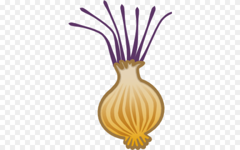 Onion Food, Produce, Vegetable, Plant Free Png Download