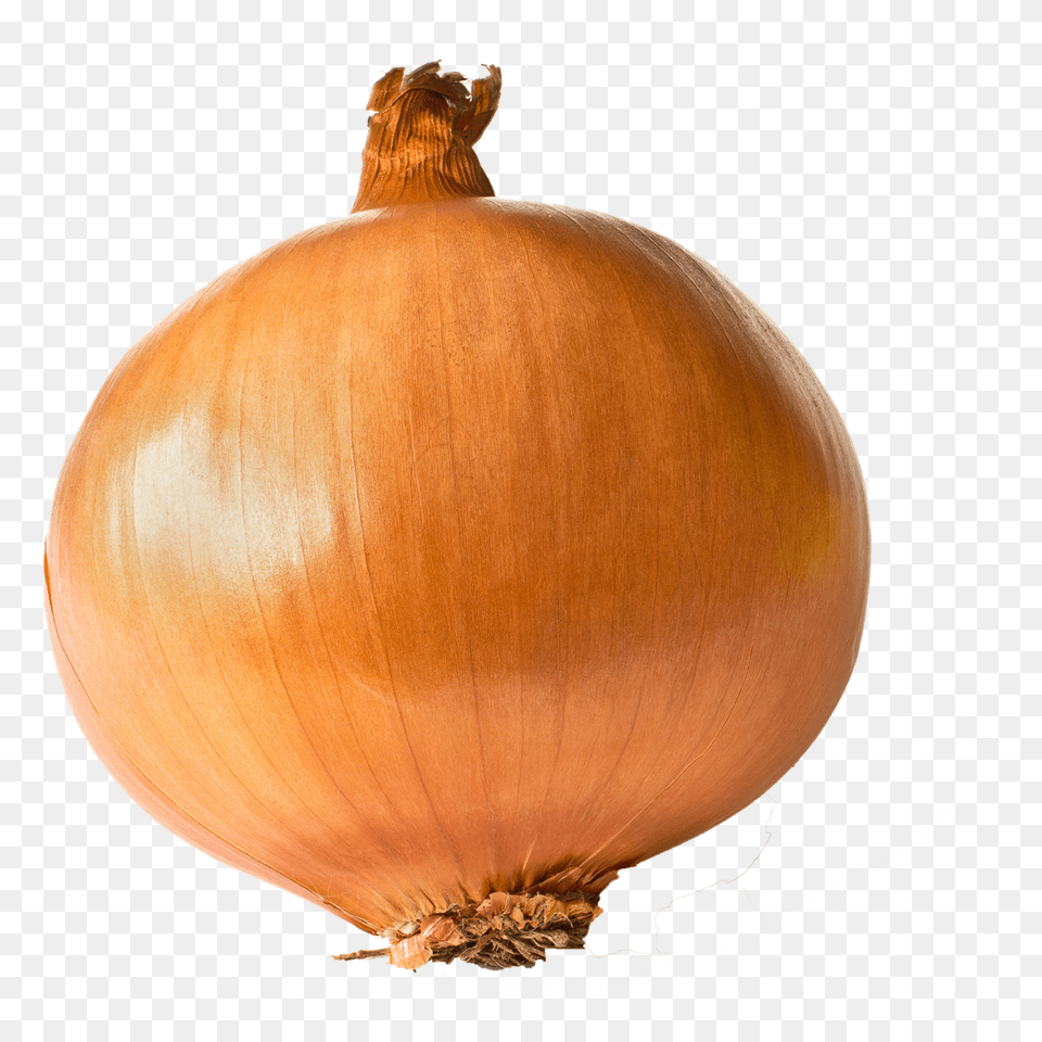 Onion Transparent Images, Food, Produce, Vegetable, Plant Free Png
