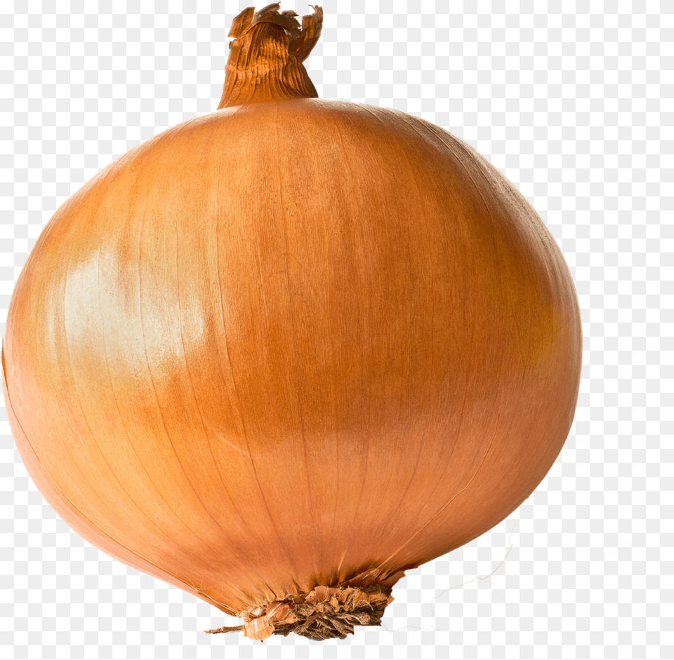 Onion Free Transparent One Onion, Food, Produce, Plant, Vegetable Png