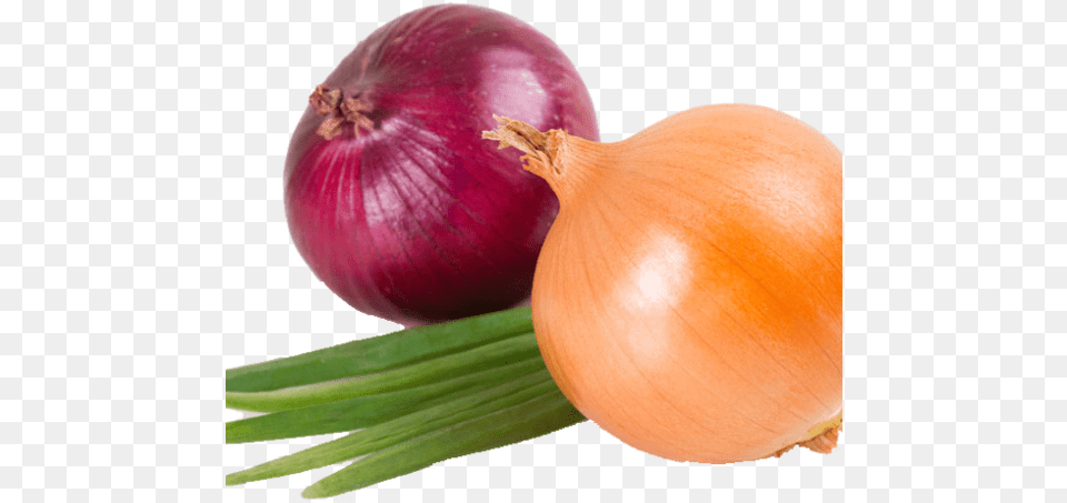 Onion Home Min, Food, Produce, Plant, Vegetable Free Transparent Png