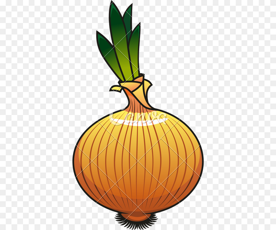 Onion Icon Design Onion Icon, Food, Produce, Plant, Vegetable Free Transparent Png