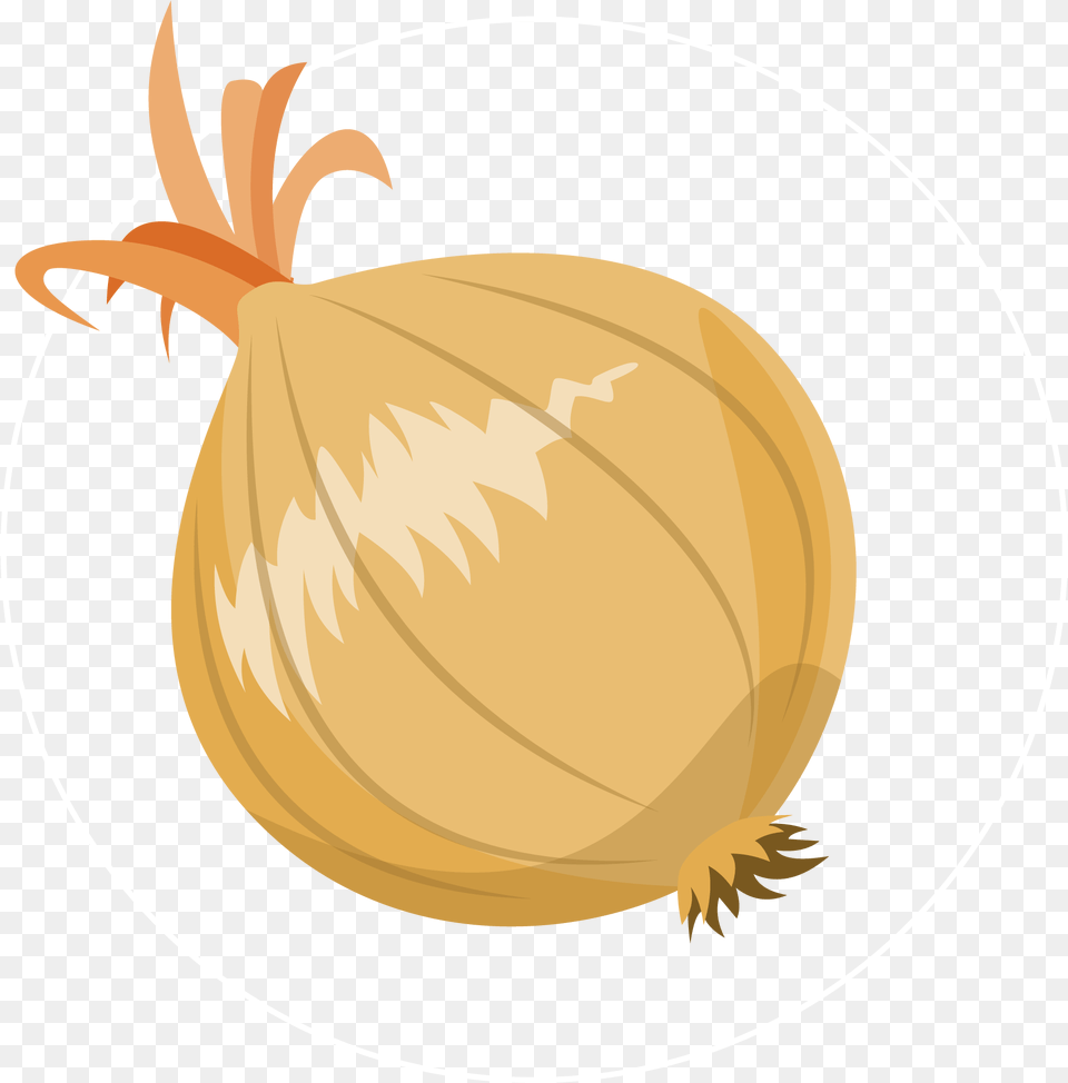Onion Icon Root Vegetable, Food, Produce, Plant Free Png