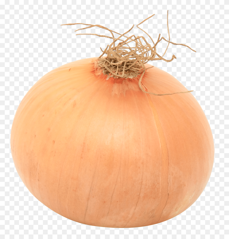 Onion Image, Food, Produce, Plant, Vegetable Free Transparent Png