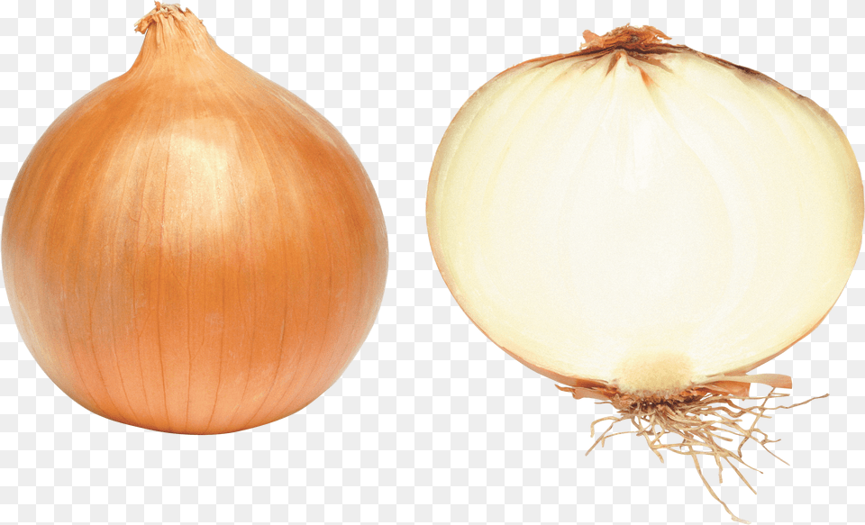 Onion Icon Favicon Onion, Food, Produce, Vegetable, Plant Png Image