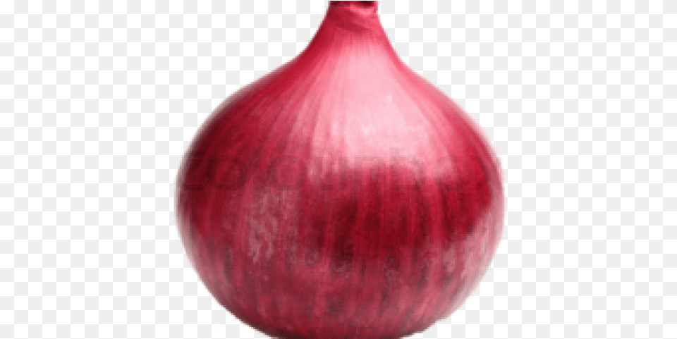 Onion Images Red Onion, Food, Produce, Plant, Vegetable Free Png Download