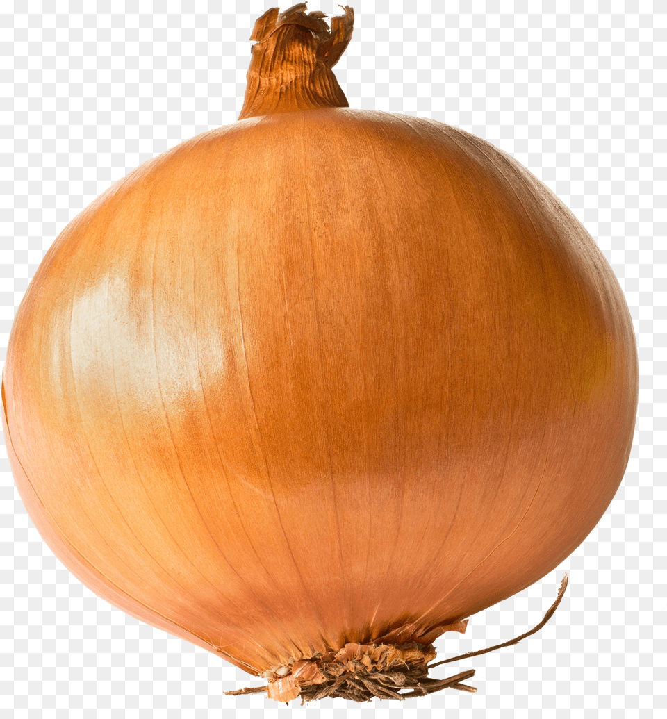 Onion Links Onion One, Food, Produce, Plant, Vegetable Free Transparent Png