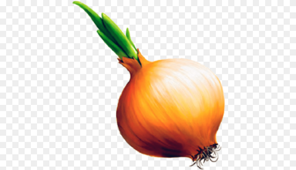 Onion Onion, Produce, Food, Vegetable, Plant Free Png Download