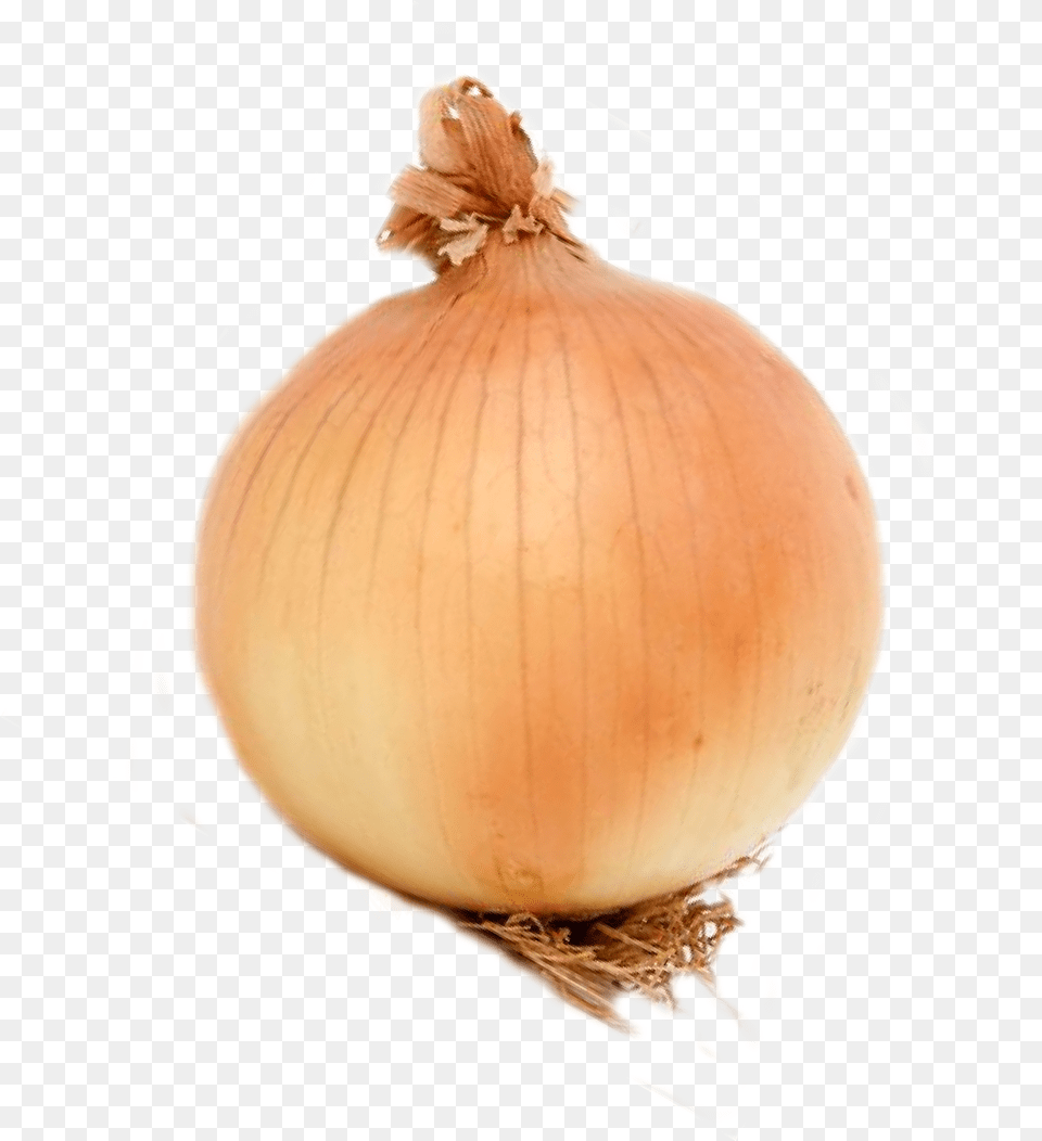 Onion Onion, Food, Produce, Plant, Vegetable Free Png Download