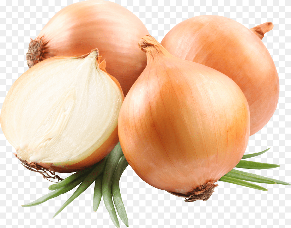 Onion Onion Free Png