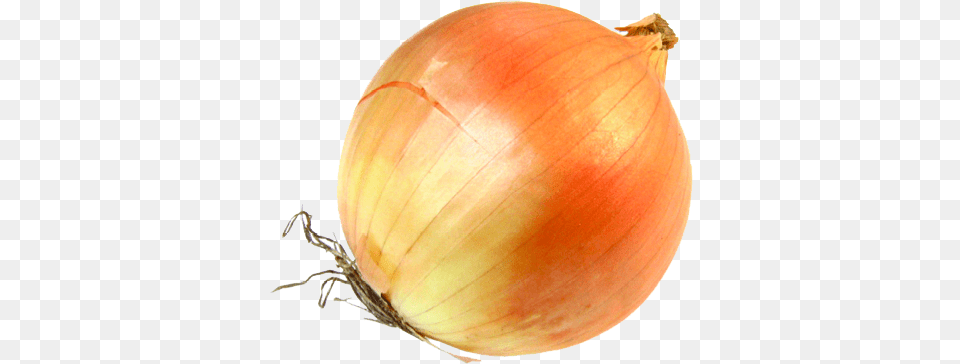 Onion Onion Transparent, Food, Produce, Vegetable, Plant Free Png Download