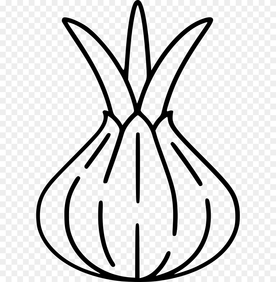 Onion Outline, Stencil, Bow, Weapon, Food Free Transparent Png