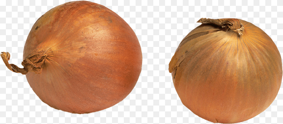 Onion Plant, Food, Produce, Vegetable, Shallot Png Image