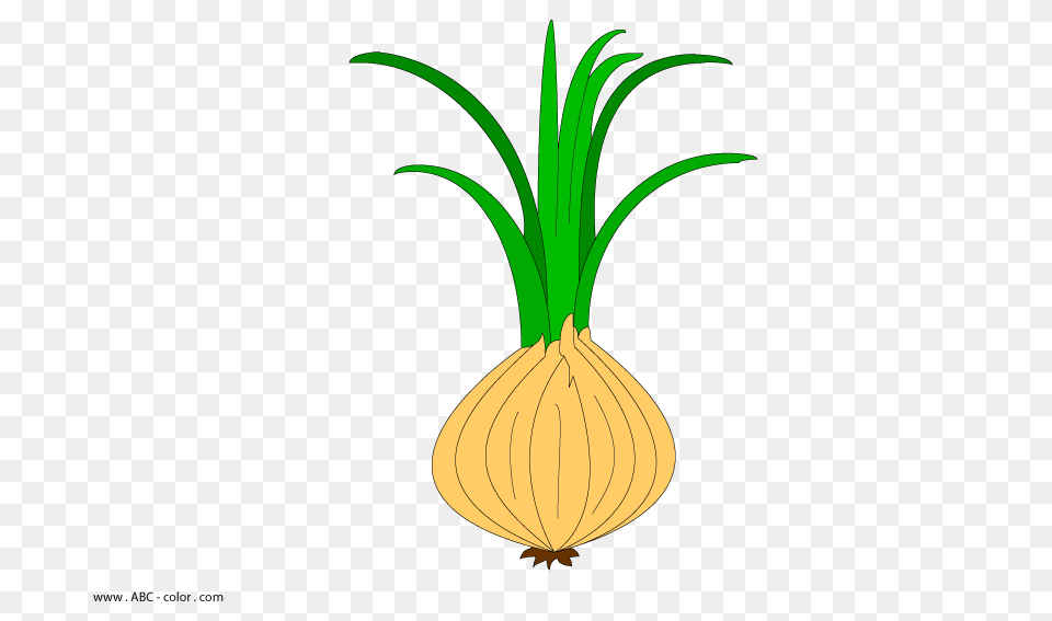 Onion Raster Picture, Food, Produce, Chandelier, Lamp Png Image