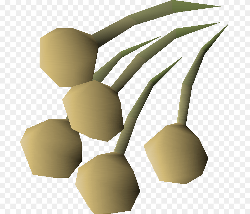 Onion Seed Osrs, Food, Produce Png