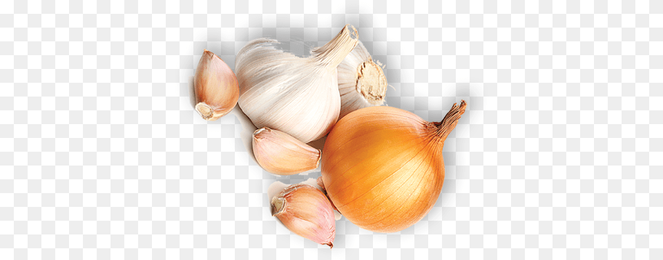 Onion Shallot, Food, Produce, Garlic, Plant Free Png Download